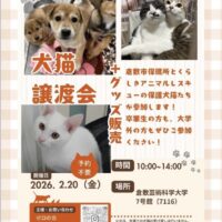 犬猫譲渡会@倉芸