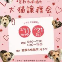 倉敷市保健所 犬猫譲渡会