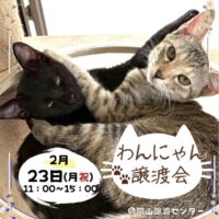 わんにゃん譲渡会＠岡山譲渡センター