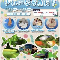 岡山のイベント情報：世界のきれいなお魚たち