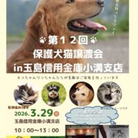第12回 保護犬・猫譲渡会 in 玉島信用金庫小溝支店
