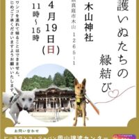 保護いぬたちの縁結び