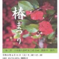 圀勝寺 椿まつり