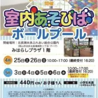 室内あそびばボールプール