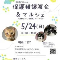 岡山のイベント情報：OKほごにゃん 保護猫譲渡会&マルシェ
