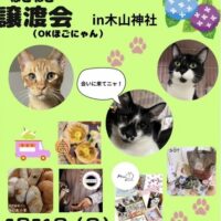 岡山のイベント情報：OKほごにゃん 保護猫譲渡会