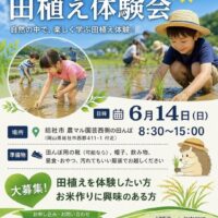 第２回 田植え体験会
