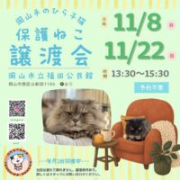 岡山手のひら子猫 11月保護猫譲渡会