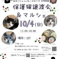 岡山のイベント情報：OKほごにゃん/ねこのおうち合同開催 保護猫譲渡会&マルシェ